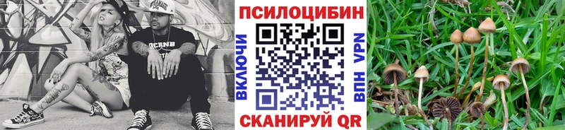 Галлюциногенные грибы Cubensis  Ивангород 